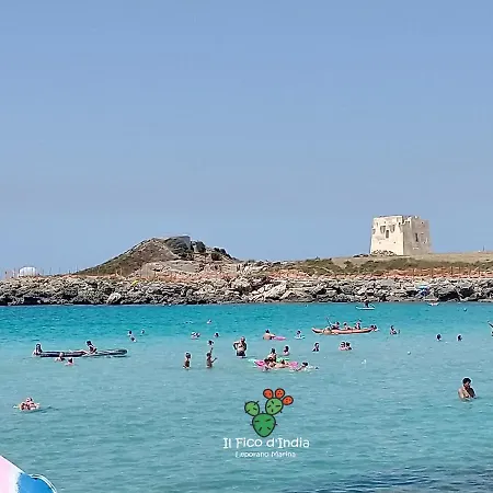 Il Fico D'india Villa *