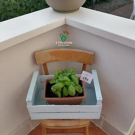 Il Fico D'india Villa
